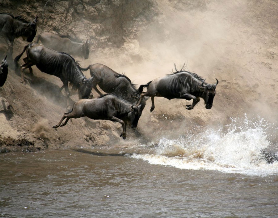 Aaron Judi Byrne Review